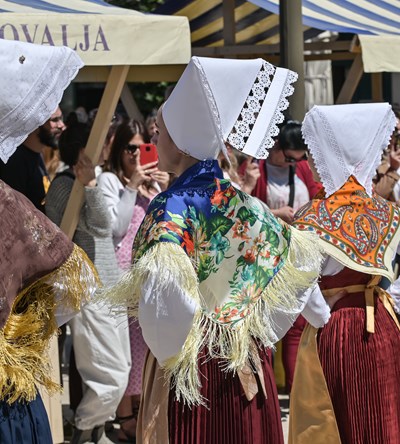 Manifestacija "Fešta od maja"